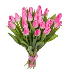фото букета 25 розовых тюльпанов
