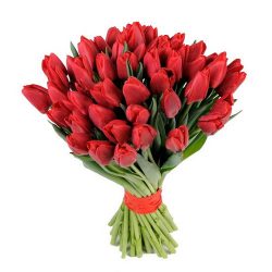 букет 49 красных тюльпанов
