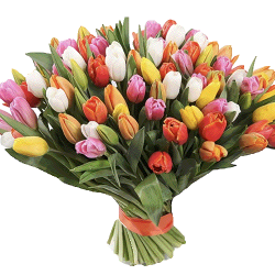 букет 99 разноцветных тюльпанов