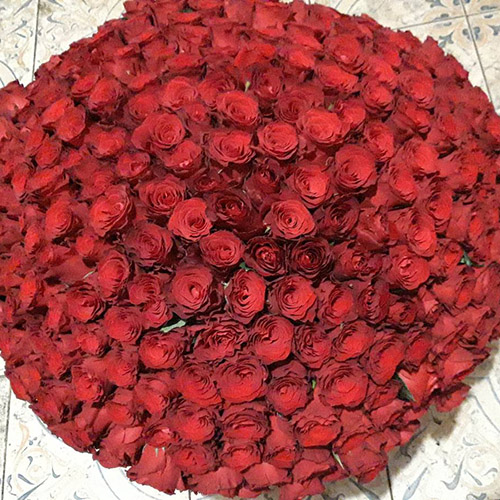 живе фото товару "301 красная роза в большом вазоне"