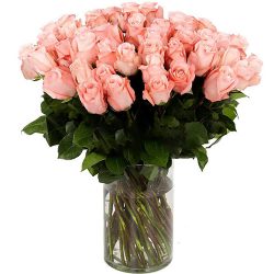 Троянда імпортна рожева (поштучно) товар