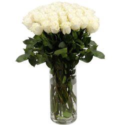 Троянда імпортна біла (поштучно) товар