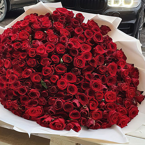 картинка 201 червона роза в Києві фото