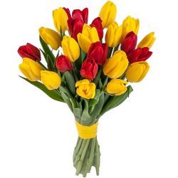 Фото товара 15 червоно-жовтих тюльпанів (зі стрічкою) в Киеве