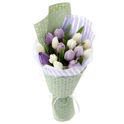 Фото товара 15 бело-фиолетовых тюльпанов в Киеве