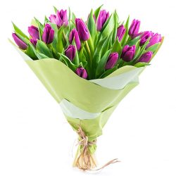 Фото товара 25 пурпурних тюльпанів в Киеве