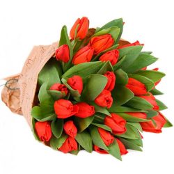 Фото товара 35 червоних тюльпанів у "газеті" в Киеве