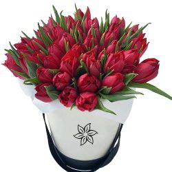 Фото товара 45 червоних тюльпанів у коробці в Киеве