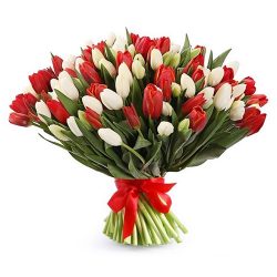 Фото товара 75 червоно-білих тюльпанів (зі стрічкою) в Киеве