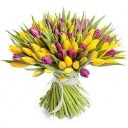 Фото товара 75 фіолетово-жовтих тюльпанів в Киеве