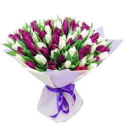 Фото товара 75 пурпурно-білих тюльпанів в Киеве