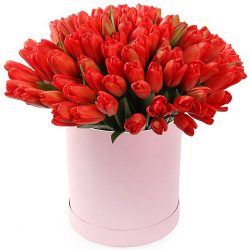 Фото товара 101 червоний тюльпан у коробці в Киеве