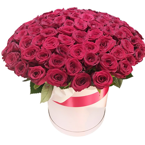 Фото товара 101 роза красная в шляпной коробке в Киеве