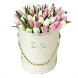 Фото товара 51 біло-рожевий тюльпан у коробці в Киеве