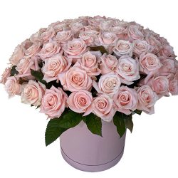 Фото товара 101 рожева троянда в коробці в Киеве