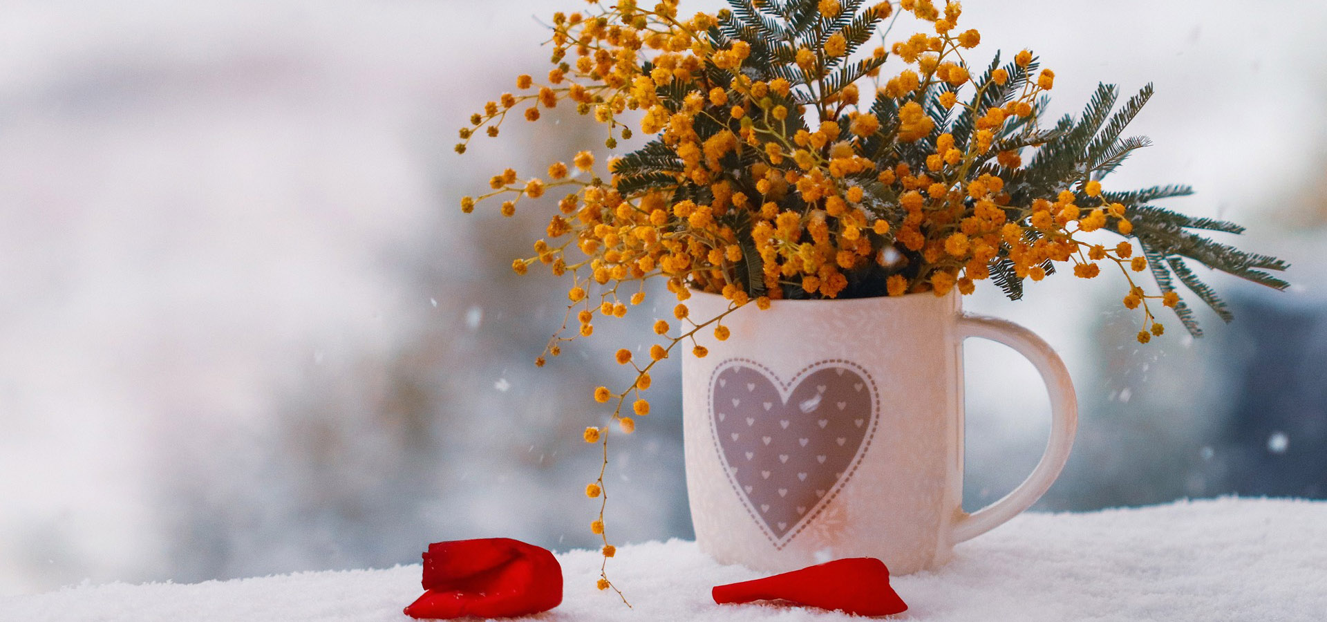 замовлення квітів на новий рік в Києві