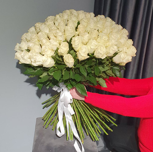 101 высокая белая роза фото букета