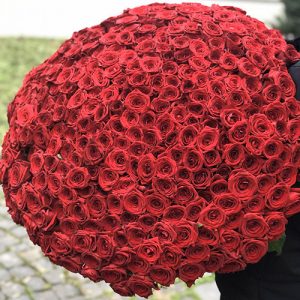Огромный букет из 301 красной розы фото