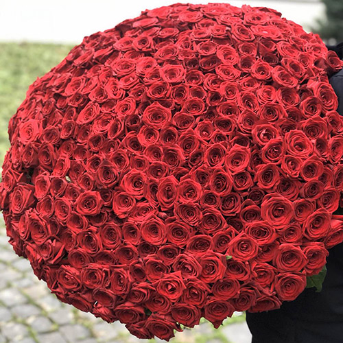 Величезний букет 301 червона троянда фото