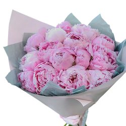 Фото товара 19 розовых пионов в Киеве