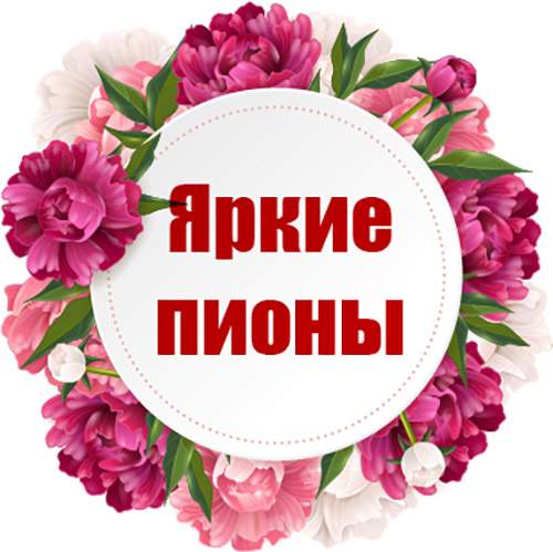 категория товаров Яркие пионы | «Киев Роза»