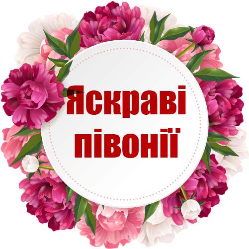 категория товаров Яскраві півонії | «Киев Роза»