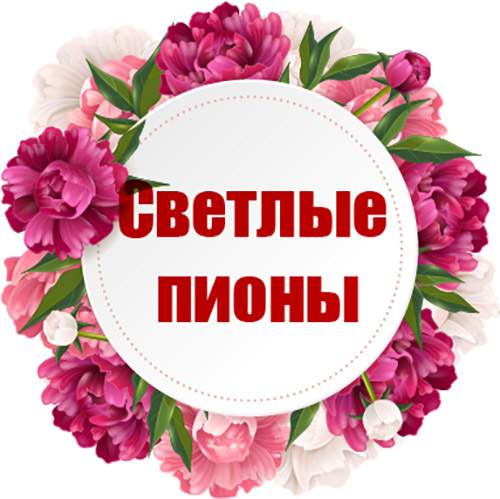 категория товаров Светлые пионы | «Киев Роза»