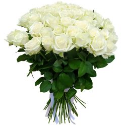 Фото товара 51 троянда біла в Киеве